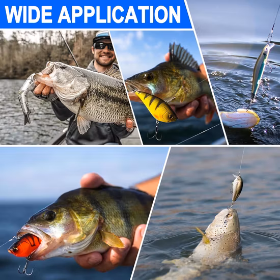 Ami da pesca d'acqua salata o d'acqua dolce Ganci affilati in acciaio ad alto tenore di carbonio